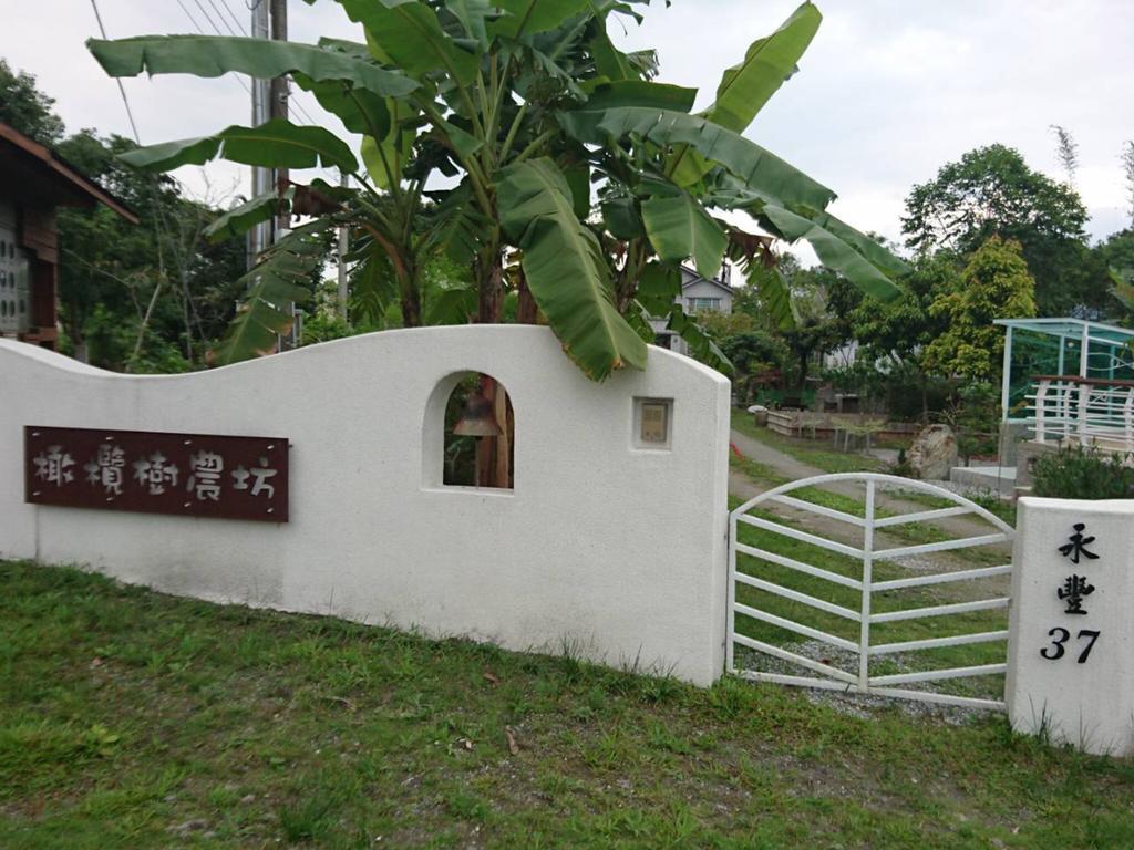 Oliver Tree B&B Fenglin Kültér fotó